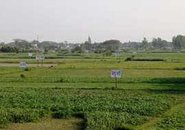 মধুসিটি  Residential Plot at Basila, Dhaka