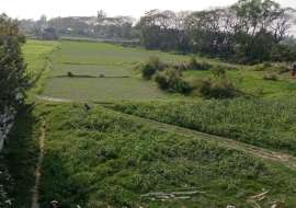 টাউনশীপ প্রকল্পে প্লট কিনুন।  Residential Plot at 