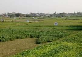 মধুসিটি  Residential Plot at Basila, Dhaka