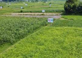 6 katha, Under Development  Residential Plot for Sale at Mohammadpur Residential Plot at 