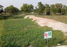 মধুসিটি  Residential Plot at Mohammadpur, Dhaka