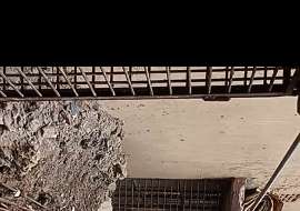 700 sqft, 2 Beds Under Construction Apartment/Flats for Sale at Monipur Apartment/Flats at 
