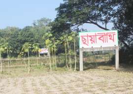 Chayabithi Residential Plot at Purbachal, Dhaka