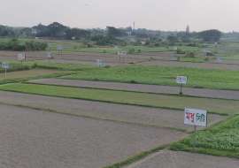 3 katha, Upcoming   Residential Plot for Sale at Keraniganj Residential Plot at 