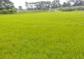 Modhu City Residential Plot at Mohammadpur, Dhaka