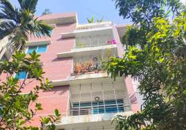 2200 sft south facing used Flat for Sale at Mirpur DOHS Apartment/Flats at 