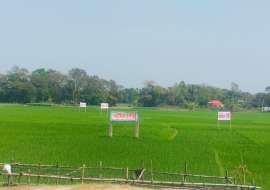 4200 katha, Under Development  Residential Plot for Sale at Purbachal Residential Plot at 