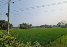35 katha, Under Development  Residential Plot for Sale at Khan Jahan Ali Residential Plot at 