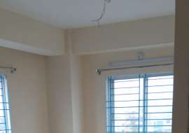 2450 sqft, 5  Beds  Apartment/Flats for Rent at Shewrapara Apartment/Flats at 