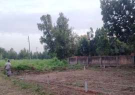 5 katha, Ready  Residential Plot for Sale at Ashulia Residential Plot at 