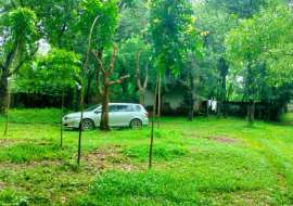 240 katha, Ready  Commercial Plot for Sale at Gazipur Sadar. Commercial Plot at 