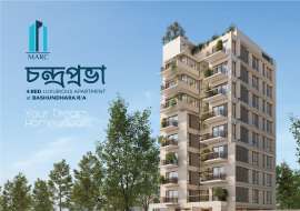 2350 sqft, 4 Beds Almost Ready Apartment/Flats for Sale at Bashundhara R/A Apartment/Flats at 