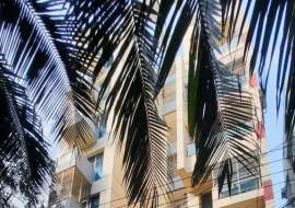 2558 sqft, 3  Beds  Apartment/Flats for Rent at Banani Apartment/Flats at 