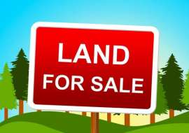 20 katha, Used  Farm Land for Sale at Pouro Bazar Agriculture/Farm Land at 