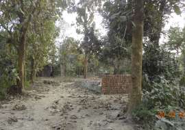 32 katha, Commercial Plot for Rent at Narayangonj Sadar Commercial Plot at 