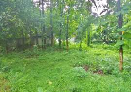 240 katha, Ready  Commercial Plot for Sale @ Gazipur Sadar Commercial Plot at 