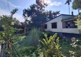 মনোরম পরিবেশে জমি সহ বাড়ি বিক্রয়। Residential Plot at 