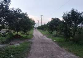 5 katha, Ready  Residential Plot for Sale at Mohammadpur Residential Plot at 