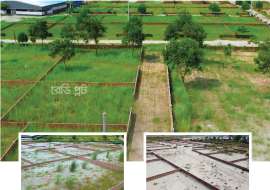 Prabashi palli,3 katha, Block - A, 28 lakhs per katha. Ready plot for Registration. Residential Plot at 