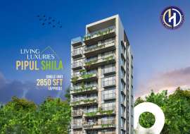 Dream Douse Devlopment  Apartment/Flats at Jolshiri Abason, Dhaka