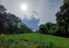 36 katha land sale for Farm House in Sylhet Agriculture/Farm Land at 