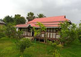 90.25 decimal land with bungalow house for sale at a low price. Residential Plot at 