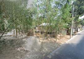 7.25 katha, Ready  Residential Plot for Sale at Sreemangal Agriculture/Farm Land at 
