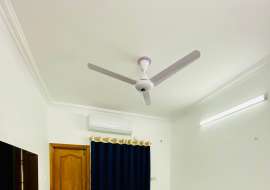 1250 sqft, 3  Beds  Apartment/Flats for Rent at Bashundhara R/A Apartment/Flats at 