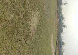 2 katha, Ready  Residential Plot for Sale at Lobon Chora Residential Plot at 