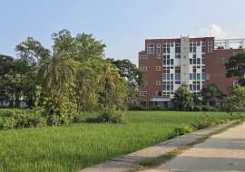 4 Bigha Industrial/Warehouse Land for Rent in Gacha, Tongi Agriculture/Farm Land at 