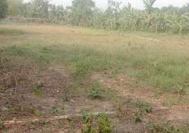 5 katha North-East Corner Plot @ Dhaka Village Residential Plot at 