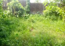 7 katha, Ready  Agriculture/Farm Land for Sale at Boalkhali Agriculture/Farm Land at 