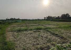 Sirajdikhan, Munshiganj; 322 decimals of ancestral land for sale in 5 deeds! Residential Plot at 