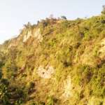 Foors Images