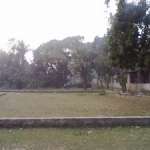 Foors Images