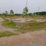 Foors Images