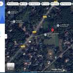Foors Images