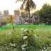 Residential Plot / Land
