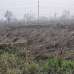 plot 8542