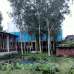 Land for sell 