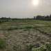 Sirajdikhan, Munshiganj; 322 decimals of ancestral land for sale in 5 deeds!