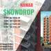Nawar SnowDrop, Apartment/Flats images 