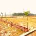 Purbachal Marine City, Residential Plot images 