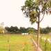 Purbachal Marine City, Residential Plot images 