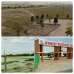 Almost Ready plot @Nabodhara City , Residential Plot images 