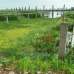5 Katha Land ( Residential/ Commercial), Commercial Plot images 