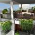 Runner Rowshan, Apartment/Flats images 