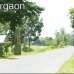 Property Deal - Thakurgaon, Residential Plot images 