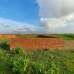 Bashundhara Baridhara Housing Project, Residential Plot images 