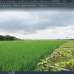 90 Katha Land Sell - Narshangdi, Commercial Plot images 